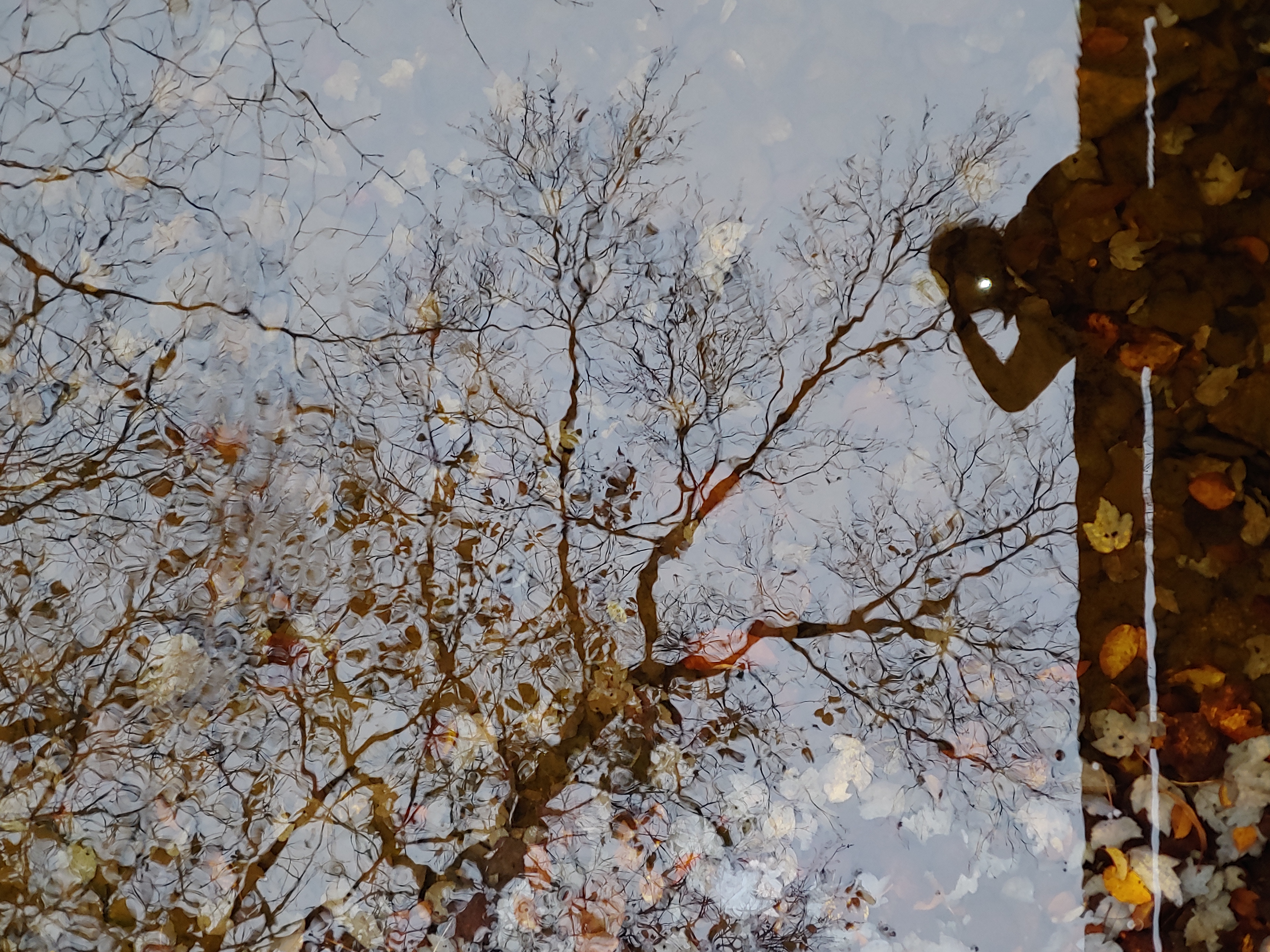 Nature as the Beloved